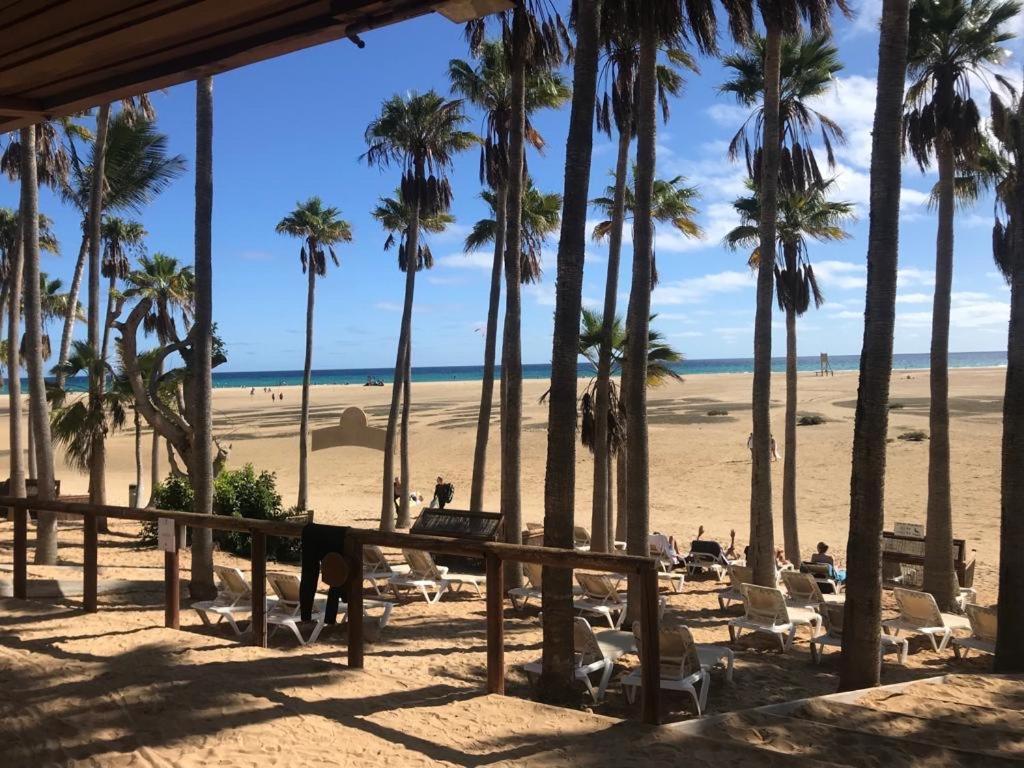 קוסטה דה אנטיגואה Casa Palmera מראה חיצוני תמונה